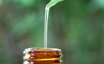 beneficios del aceite esencial de menta